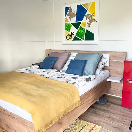 Tiny House With Mountain Views