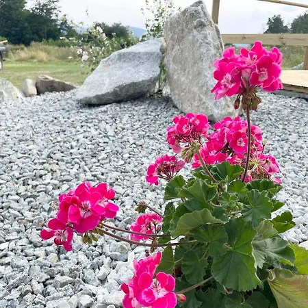 Tiny House With Mountain Views 公寓 *