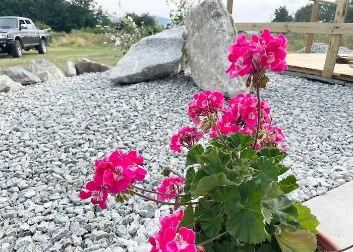 Tiny House With Mountain Views 公寓 *